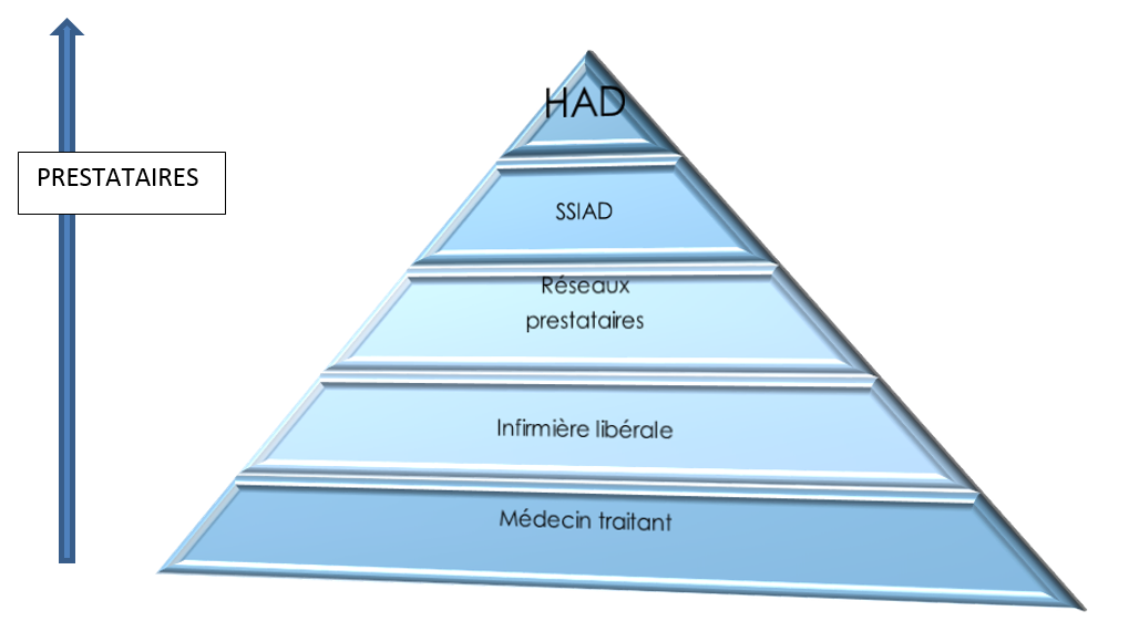 Pyramide décisionnelle de la prise en charge.png